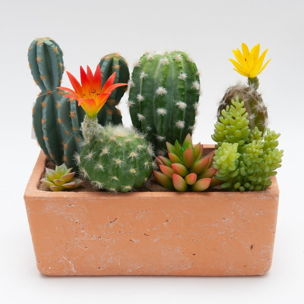 MACETERO RECTANGULAR CON CACTUS