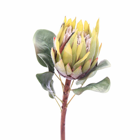 FLOR PROTEA KING VERDE