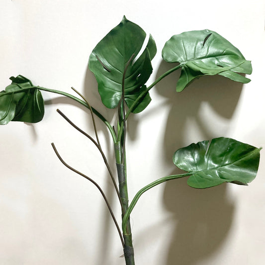 RAMA MONSTERA