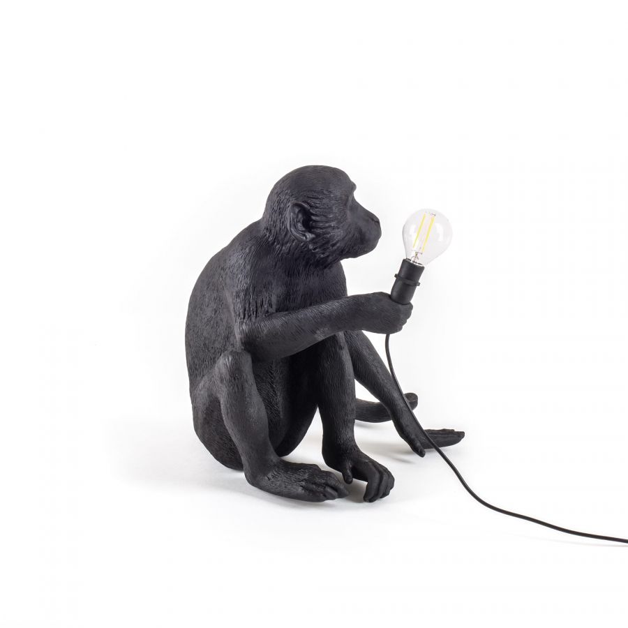 MONKEY SITTING BLACK